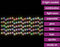vidaXL - Lichtsnoergordijn - sterren - met - 500 - LED's - 8 - functies - meerkleurig