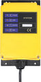 vidaXL - Lier - elektrisch - draadloos - afstandsbediening - 1000 - W - 300/600 - kg