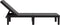 vidaXL - Ligbed - 159x57x83,5 - cm - polypropeen - zwart