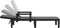 vidaXL - Ligbed - 159x68x83,5 - cm - polypropeen - zwart