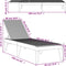 vidaXL - Ligbed - 186x60x29 - cm - polypropeen - antracietkleurig