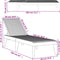 vidaXL - Ligbed - 186x60x29 - cm - polypropeen - antracietkleurig