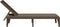 vidaXL - Ligbed - 186x60x29 - cm - polypropeen - bruin