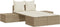 vidaXL - Ligbed - 2-persoons - met - kussens - poly - rattan - beige