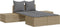 vidaXL - Ligbed - 2-persoons - met - kussens - poly - rattan - beige
