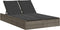 vidaXL - Ligbed - 2-persoons - met - kussens - poly - rattan - grijs