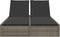 vidaXL - Ligbed - 2-persoons - met - kussens - poly - rattan - grijs