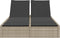 vidaXL - Ligbed - 2-persoons - met - kussens - poly - rattan - lichtgrijs