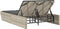 vidaXL - Ligbed - 2-persoons - met - kussens - poly - rattan - lichtgrijs