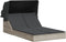 vidaXL - Ligbed - 2-persoons - met - luifel - en - kussens - poly - rattan - lichtgrijs