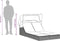 vidaXL - Ligbed - 2-persoons - met - luifel - en - kussens - poly - rattan - beige