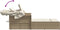 vidaXL - Ligbed - 2-persoons - met - luifel - en - kussens - poly - rattan - beige