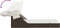 vidaXL - Ligbed - 2-persoons - met - luifel - en - kussens - poly - rattan - bruin