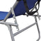vidaXL - Ligbed - inklapbaar - met - luifel - aluminium - blauw