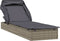 vidaXL - Ligbed - met - inklapbaar - dak - 213x63x97 - cm - poly - rattan - grijs