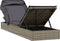 vidaXL - Ligbed - met - inklapbaar - dak - 213x63x97 - cm - poly - rattan - grijs