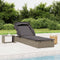 vidaXL - Ligbed - met - inklapbaar - dak - 213x63x97 - cm - poly - rattan - grijs