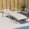 vidaXL - Ligbed - met - kussen - 60x199x42 - cm - poly - rattan - beige