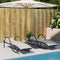 vidaXL - Ligbed - met - kussen - 60x199x42 - cm - poly - rattan - zwart