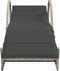 vidaXL - Ligbed - met - kussen - 60x199x42 - cm - poly - rattan - lichtgrijs