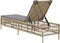 vidaXL - Ligbed - met - kussen - poly - rattan - beige