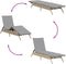 vidaXL - Ligbed - met - kussen - poly - rattan - beige