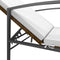 vidaXL - Ligbed - met - kussen - poly - rattan - bruin