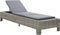 vidaXL - Ligbed - met - kussen - poly - rattan - grijs