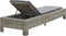 vidaXL - Ligbed - met - kussen - poly - rattan - grijs