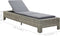 vidaXL - Ligbed - met - kussen - poly - rattan - grijs