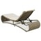 vidaXL - Ligbed - met - kussen - poly - rattan - grijs
