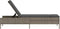 vidaXL - Ligbed - met - kussen - poly - rattan - grijs