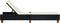 vidaXL - Ligbed - met - kussen - poly - rattan - zwart