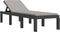 vidaXL - Ligbed - met - kussens - PP - antracietkleurig