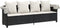 vidaXL - Ligbed - met - luifel - en - kussens - poly - rattan - zwart