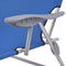 vidaXL - Ligbed - met - luifel - staal - blauw