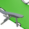 vidaXL - Ligbed - met - luifel - staal - groen