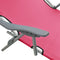 vidaXL - Ligbed - met - luifel - staal - roze