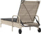 vidaXL - Ligbed - met - wielen - en - kussens - poly - rattan - lichtgrijs