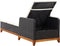 vidaXL - Ligbed - poly - rattan - en - massief - acaciahout - zwart