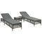 vidaXL - Ligbedden - 2 - st - met - tafel - poly - rattan - grijs