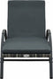 vidaXL - Ligbedden - met - tafel - poly - rattan - antraciet