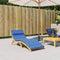vidaXL - Ligbedkussen - 180x60x3 - cm - oxford - stof - koningsblauw