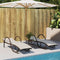 vidaXL - Ligstoelen - 2 - st - met - tafel - poly - rattan - bruin