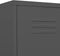 vidaXL - Lockerkast - 35x46x180 - cm - staal - antracietkleurig