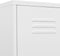 vidaXL - Lockerkast - 35x46x180 - cm - staal - wit