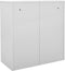 vidaXL - Lockerkast - 90x45x92,5 - cm - staal - lichtgrijs - en - rood
