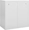 vidaXL - Lockerkast - 90x45x92,5 - cm - staal - lichtgrijs - en - rood