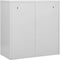 vidaXL - Lockerkast - 90x45x92,5 - cm - staal - lichtgrijs - en - blauw
