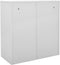 vidaXL - Lockerkast - 90x45x92,5 - cm - staal - lichtgrijs - en - blauw